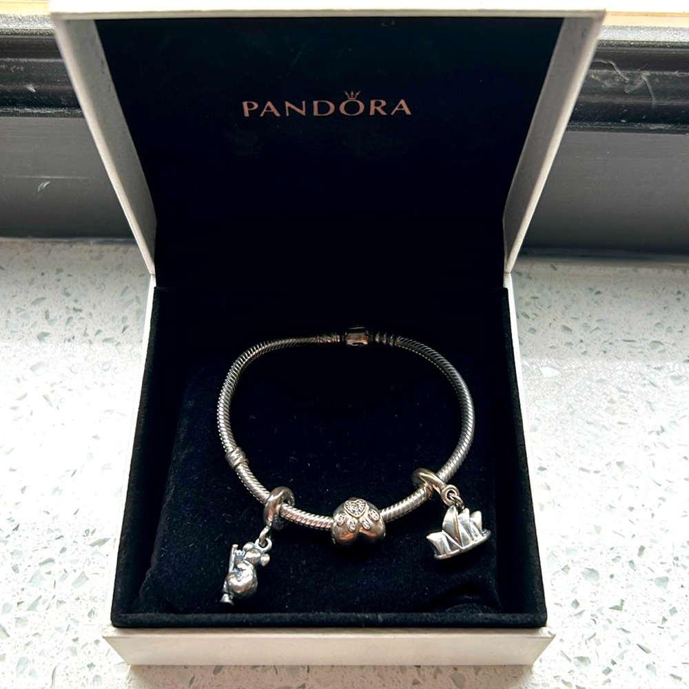 Pandora bracelet, received as gift but never worn because I don’t wear silver.